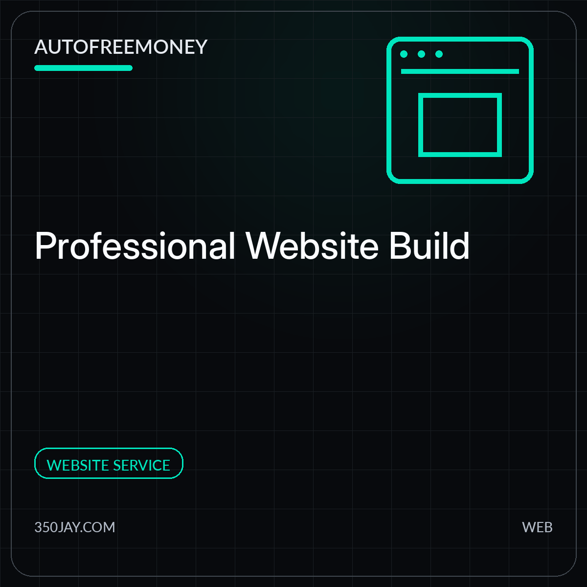 Professional Website Build